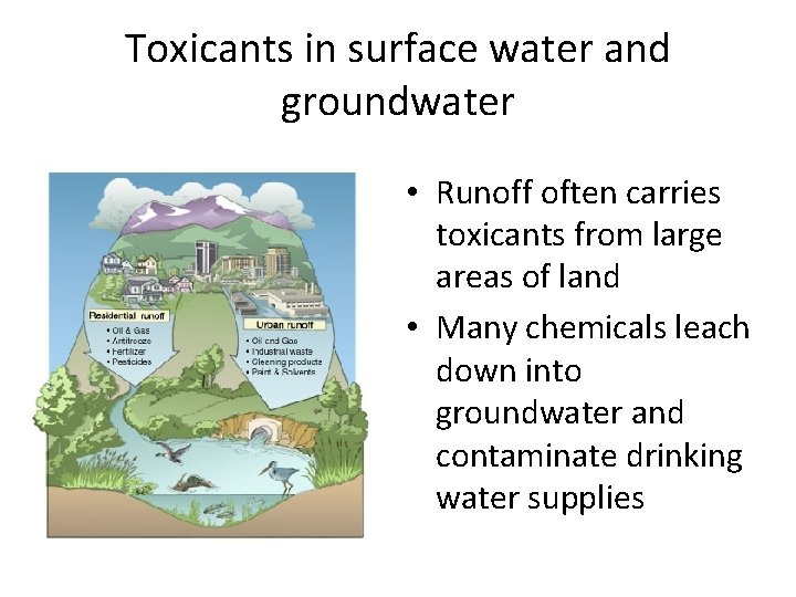 Toxicants in surface water and groundwater • Runoff often carries toxicants from large areas