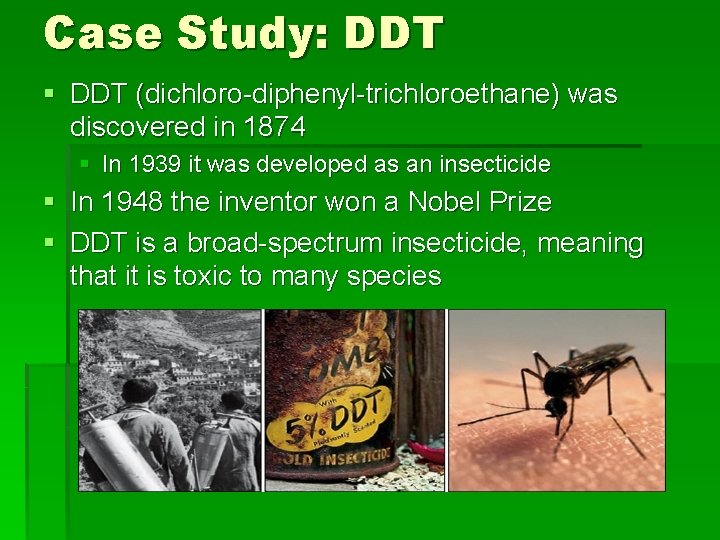 Case Study: DDT § DDT (dichloro-diphenyl-trichloroethane) was discovered in 1874 § In 1939 it