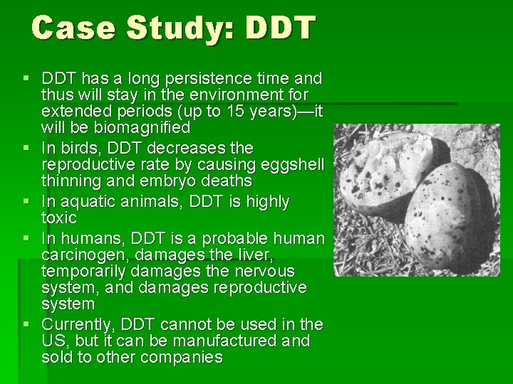 Case Study: DDT § DDT has a long persistence time and thus will stay