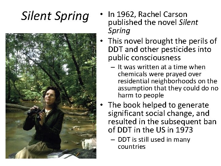 Silent Spring • In 1962, Rachel Carson published the novel Silent Spring • This