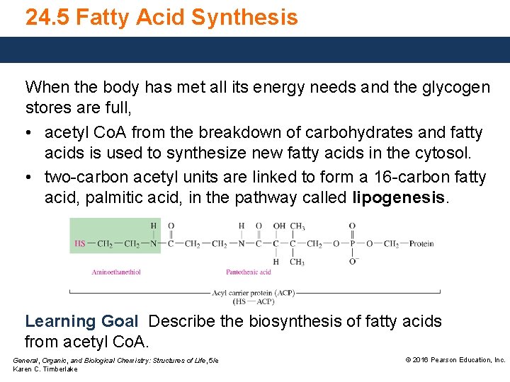 24. 5 Fatty Acid Synthesis When the body has met all its energy needs