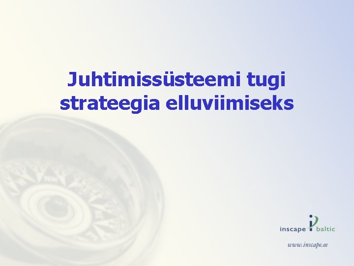 Juhtimissüsteemi tugi strateegia elluviimiseks 