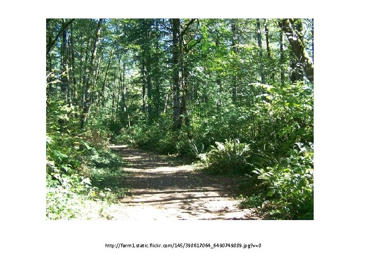 http: //farm 1. static. flickr. com/145/398617064_6490749889. jpg? v=0 