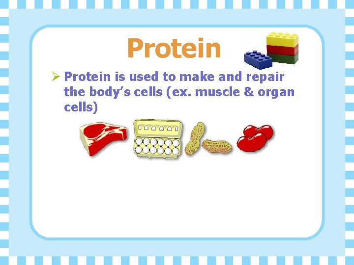 Protein Ø Protein is used to make and repair the body’s cells (ex. muscle