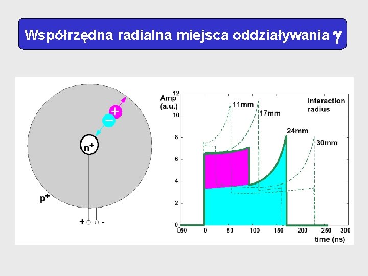 Współrzędna radialna miejsca oddziaływania 