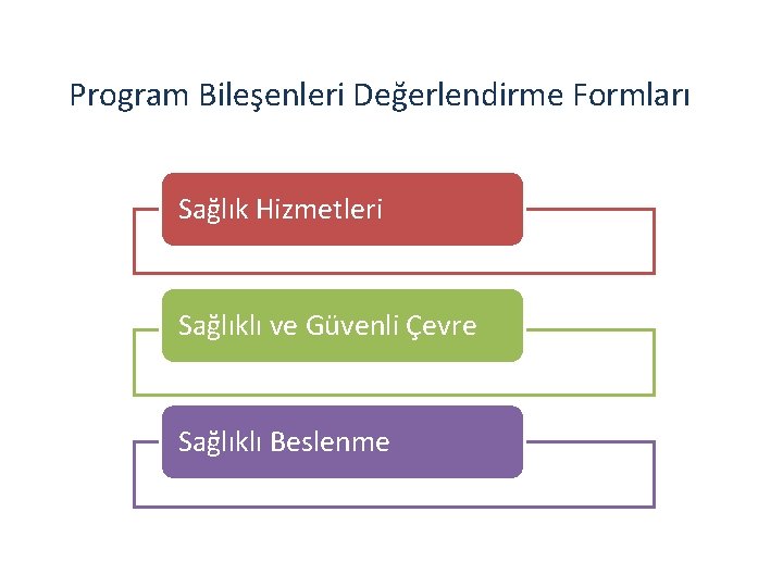 Program Bileşenleri Değerlendirme Formları Sağlık Hizmetleri Sağlıklı ve Güvenli Çevre Sağlıklı Beslenme 