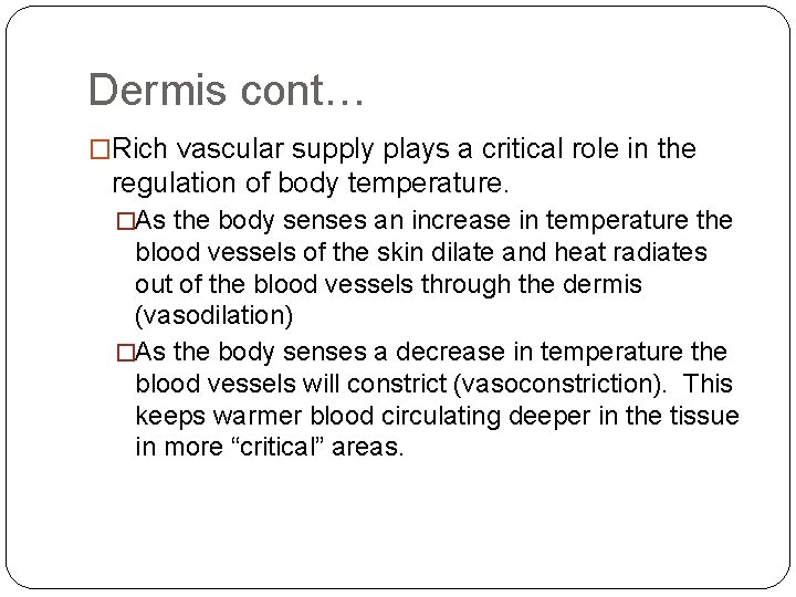 Dermis cont… �Rich vascular supply plays a critical role in the regulation of body