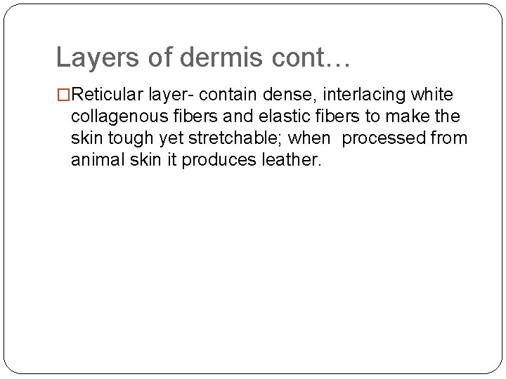 Layers of dermis cont… �Reticular layer- contain dense, interlacing white collagenous fibers and elastic