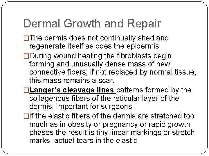 Dermal Growth and Repair �The dermis does not continually shed and regenerate itself as