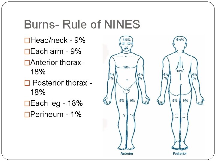 Burns- Rule of NINES �Head/neck - 9% �Each arm - 9% �Anterior thorax -