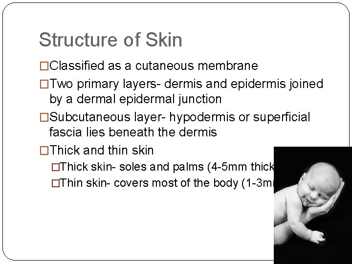 Structure of Skin �Classified as a cutaneous membrane �Two primary layers- dermis and epidermis