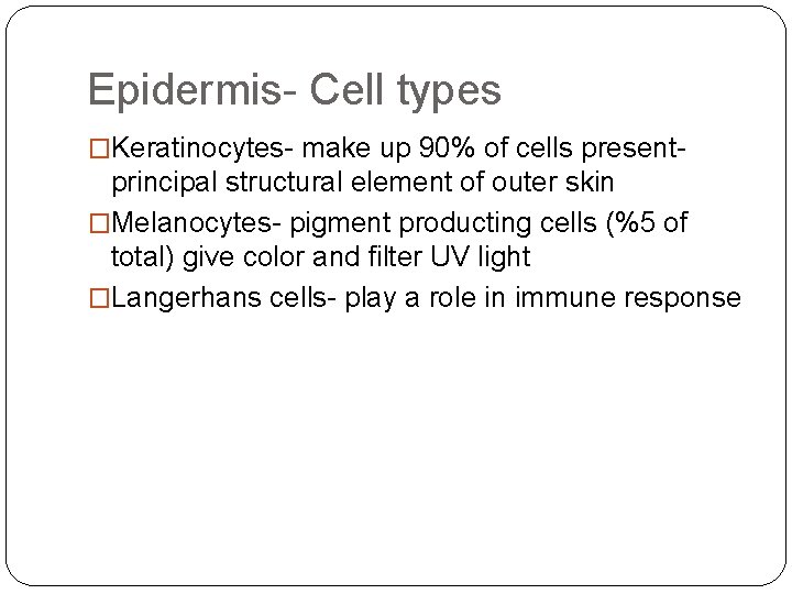 Epidermis- Cell types �Keratinocytes- make up 90% of cells present- principal structural element of