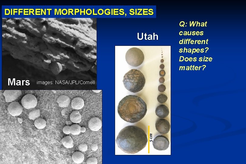DIFFERENT MORPHOLOGIES, SIZES Utah images: NASA/JPL/Cornell 5 cm Mars image credits: NASA/JPL/Cornell Q: What