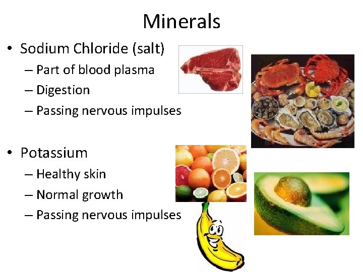 Minerals • Sodium Chloride (salt) – Part of blood plasma – Digestion – Passing
