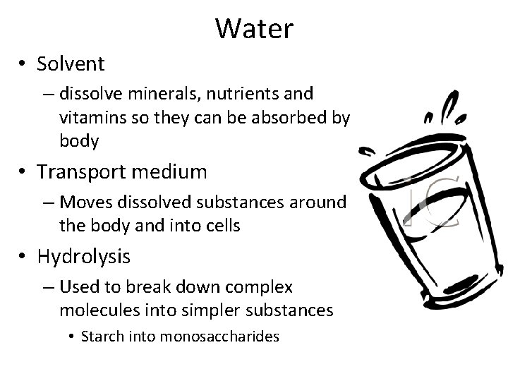 Water • Solvent – dissolve minerals, nutrients and vitamins so they can be absorbed