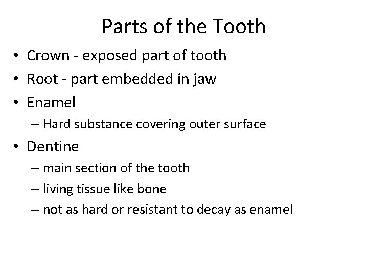 Parts of the Tooth • Crown - exposed part of tooth • Root -