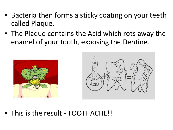  • Bacteria then forms a sticky coating on your teeth called Plaque. •