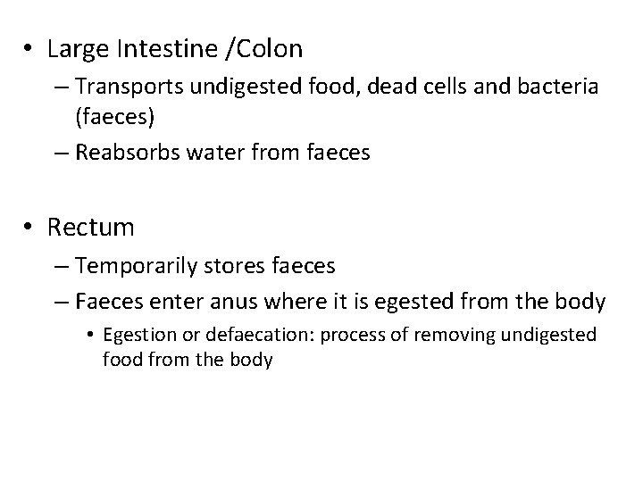  • Large Intestine /Colon – Transports undigested food, dead cells and bacteria (faeces)