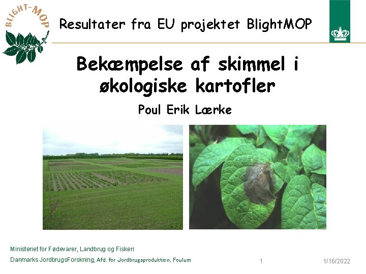 Resultater fra EU projektet Blight. MOP Bekæmpelse af skimmel i økologiske kartofler Poul Erik