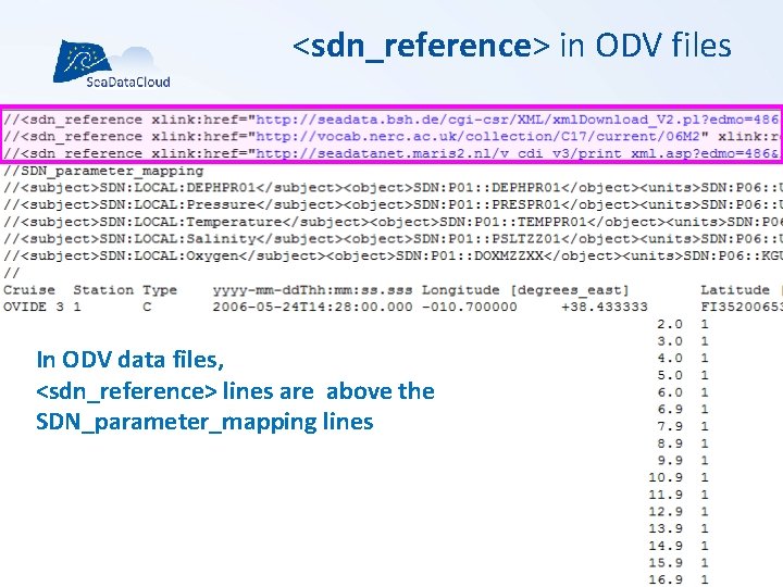 <sdn_reference> in ODV files In ODV data files, <sdn_reference> lines are above the SDN_parameter_mapping