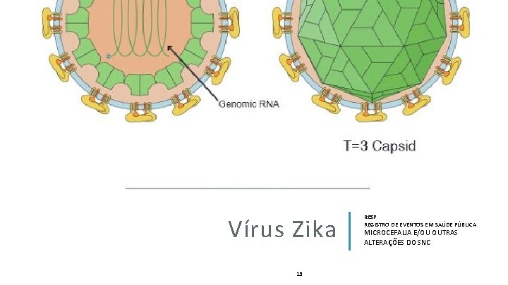 Vírus Zika 13 RESP REGISTRO DE EVENTOS EM SAÚDE PÚBLICA MICROCEFALIA E/OU OUTRAS ALTERAÇÕES