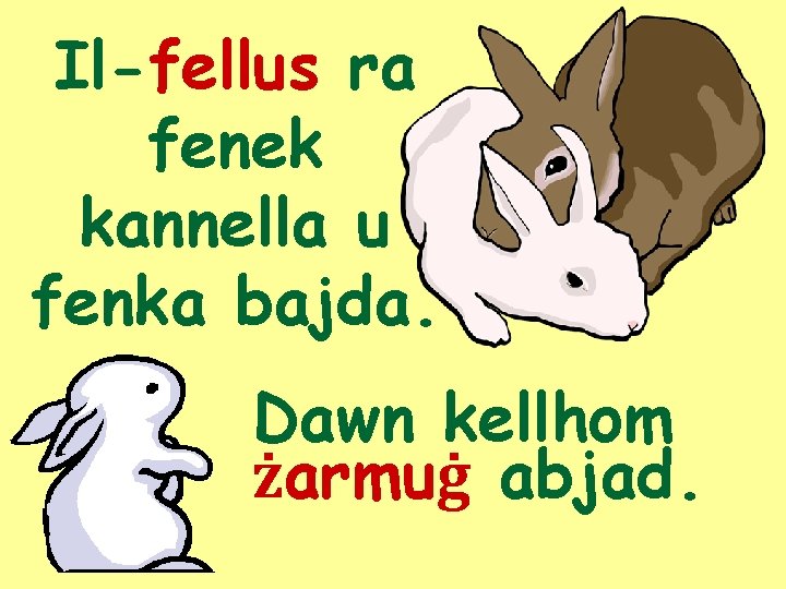 Il-fellus ra fenek kannella u fenka bajda. Dawn kellhom żarmuġ abjad. 