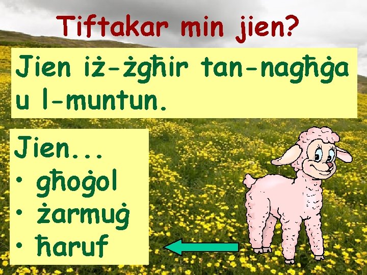 Tiftakar min jien? Jien iż-żgħir tan-nagħġa u l-muntun. Jien. . . • għoġol •