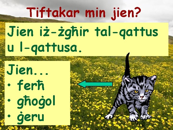 Tiftakar min jien? Jien iż-żgħir tal-qattus u l-qattusa. Jien. . . • ferħ •