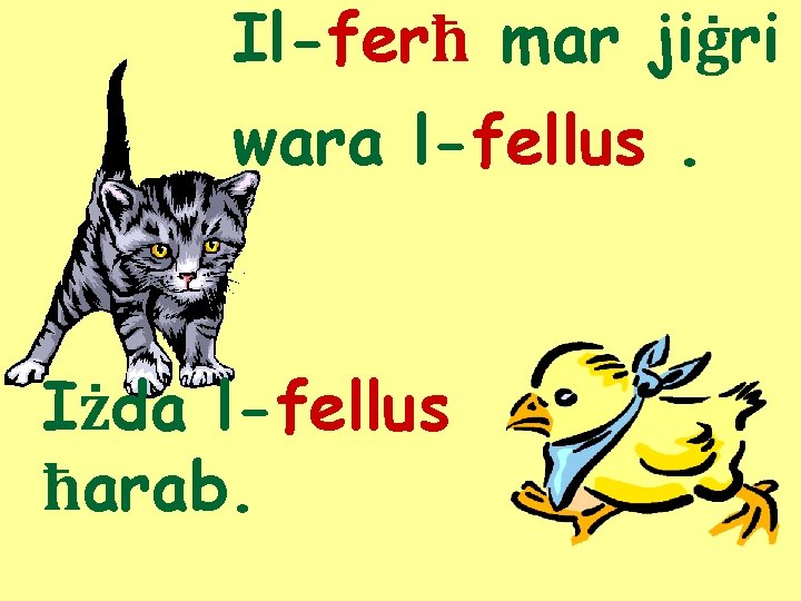 Il-ferħ mar jiġri wara l-fellus. Iżda l-fellus ħarab. 