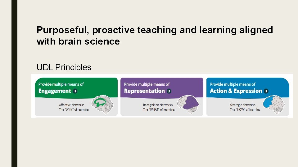 Purposeful, proactive teaching and learning aligned with brain science UDL Principles Purposeful, proactive teaching and learning aligned with brain science UDL Principles