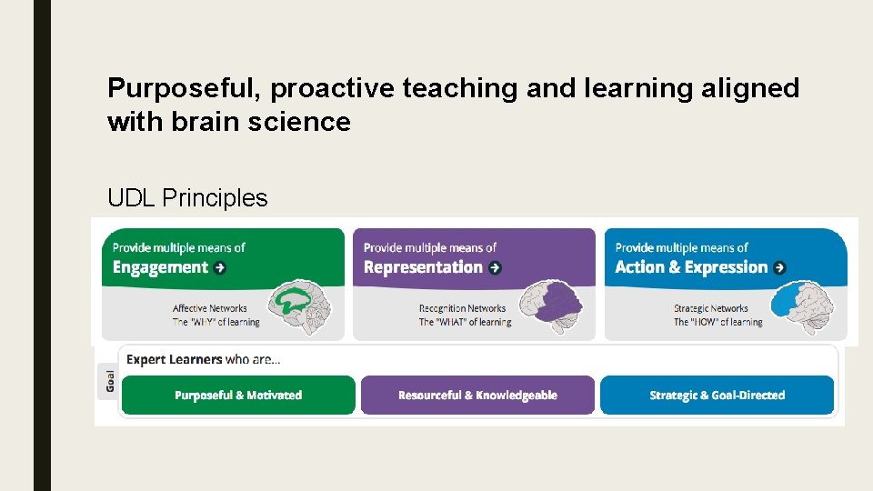 Purposeful, proactive teaching and learning aligned with brain science UDL Principles Purposeful, proactive teaching and learning aligned with brain science UDL Principles