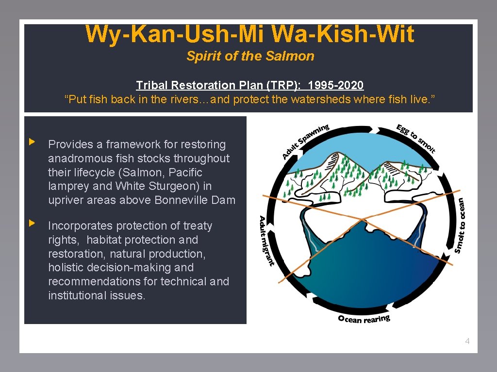 Wy-Kan-Ush-Mi Wa-Kish-Wit Spirit of the Salmon Tribal Restoration Plan (TRP): 1995 -2020 “Put fish