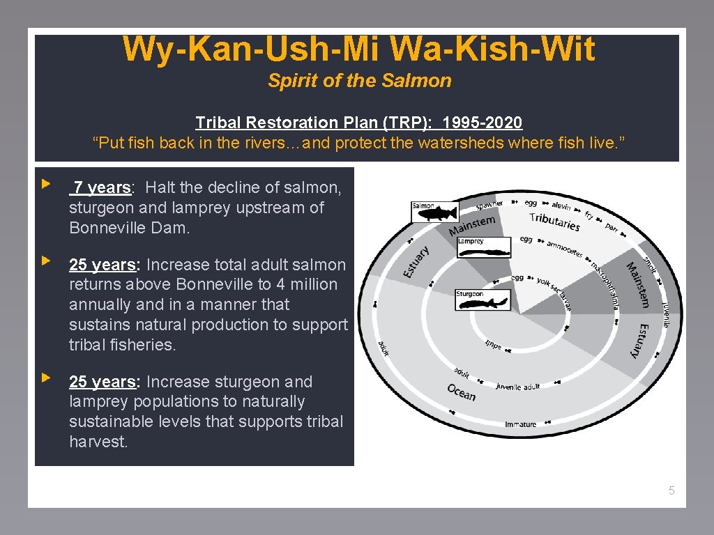 Wy-Kan-Ush-Mi Wa-Kish-Wit Spirit of the Salmon Tribal Restoration Plan (TRP): 1995 -2020 “Put fish