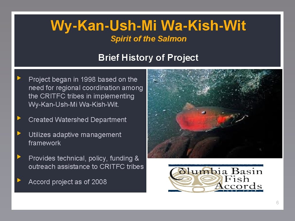 Wy-Kan-Ush-Mi Wa-Kish-Wit Spirit of the Salmon Brief History of Project began in 1998 based