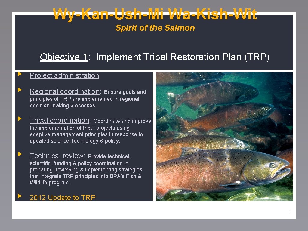 Wy-Kan-Ush-Mi Wa-Kish-Wit Spirit of the Salmon Objective 1: Implement Tribal Restoration Plan (TRP) Project