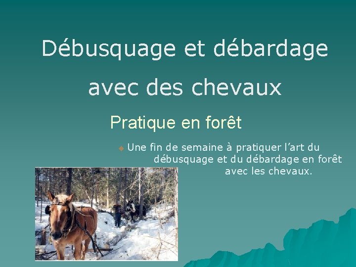 Débusquage et débardage avec des chevaux Pratique en forêt u Une fin de semaine