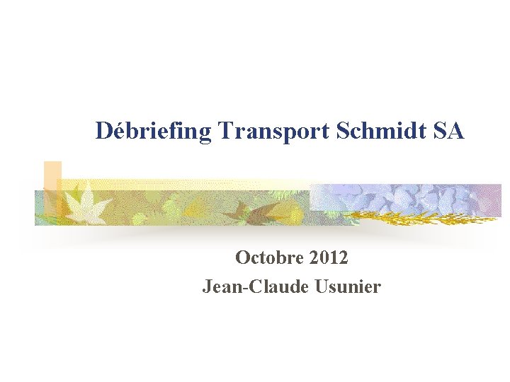 Débriefing Transport Schmidt SA Octobre 2012 Jean-Claude Usunier 