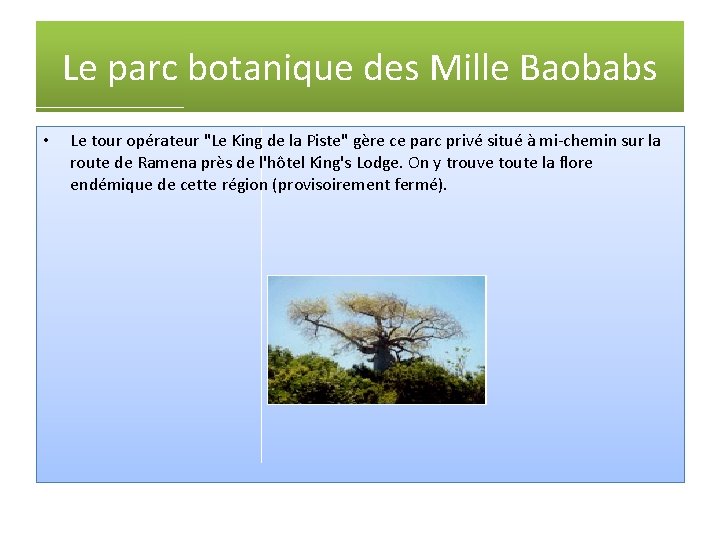 Le parc botanique des Mille Baobabs • Le tour opérateur "Le King de la