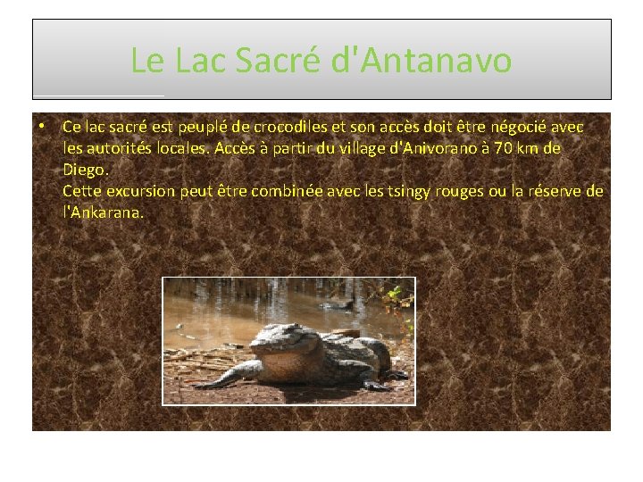 Le Lac Sacré d'Antanavo • Ce lac sacré est peuplé de crocodiles et son
