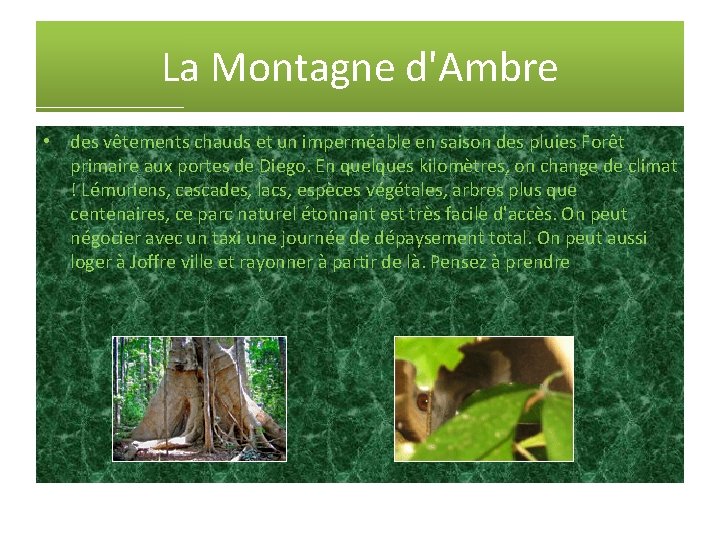 La Montagne d'Ambre • des vêtements chauds et un imperméable en saison des pluies