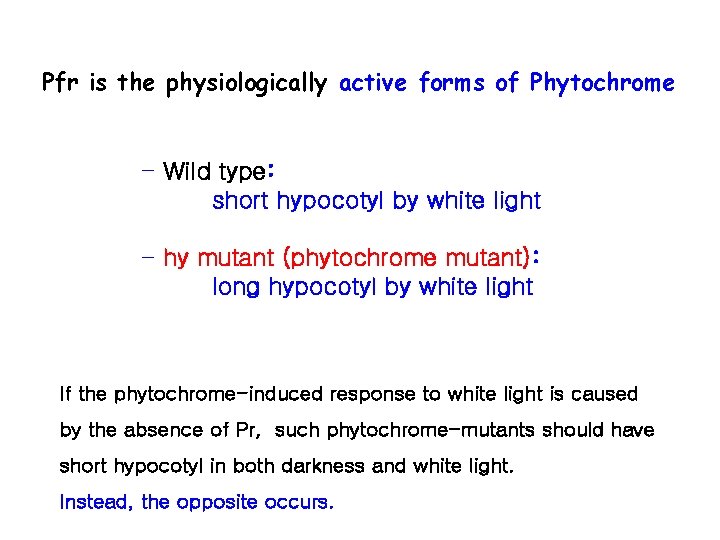 Pfr is the physiologically active forms of Phytochrome - Wild type: short hypocotyl by