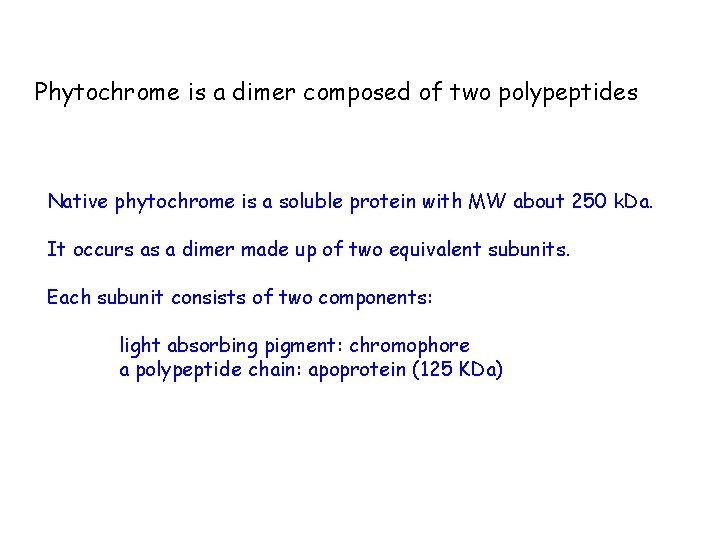 Phytochrome is a dimer composed of two polypeptides Native phytochrome is a soluble protein