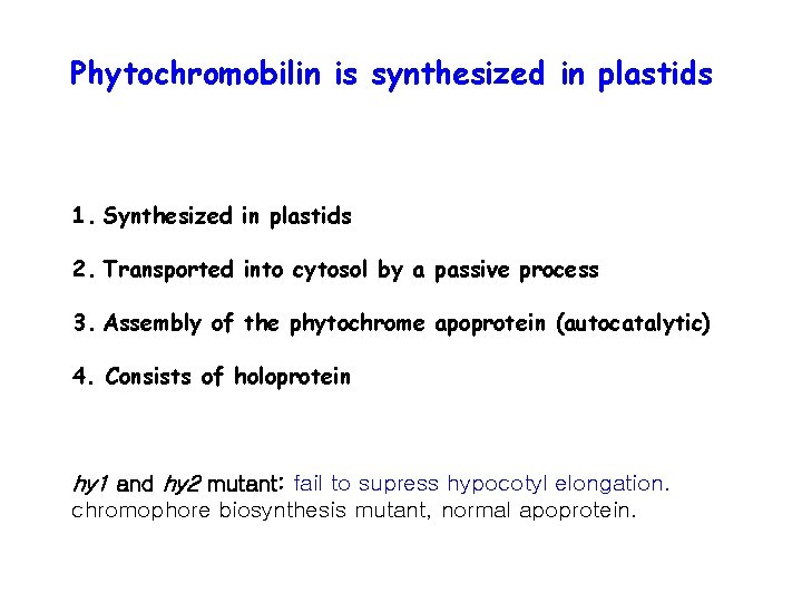 Phytochromobilin is synthesized in plastids 1. Synthesized in plastids 2. Transported into cytosol by