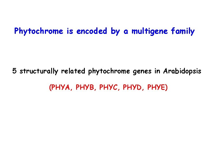 Phytochrome is encoded by a multigene family 5 structurally related phytochrome genes in Arabidopsis