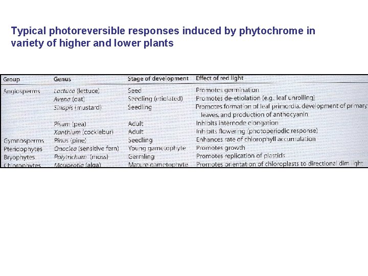 Typical photoreversible responses induced by phytochrome in variety of higher and lower plants 