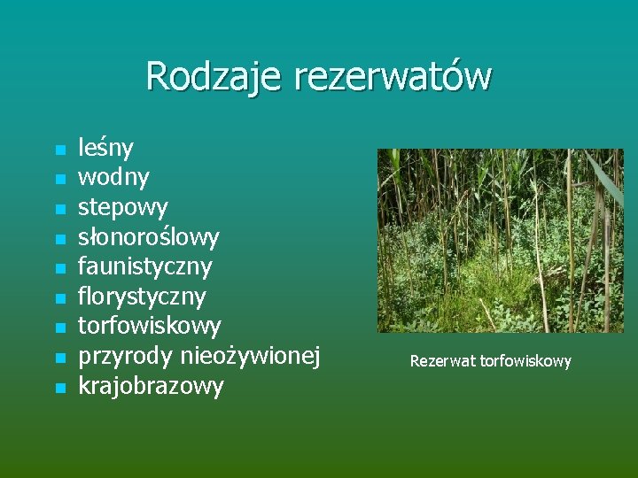 Rodzaje rezerwatów n n n n n leśny wodny stepowy słonoroślowy faunistyczny florystyczny torfowiskowy