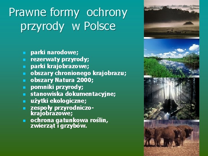 Prawne formy ochrony przyrody w Polsce n n n n n parki narodowe; rezerwaty