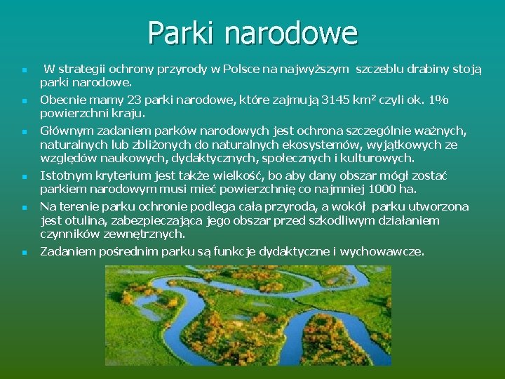 Parki narodowe n n n W strategii ochrony przyrody w Polsce na najwyższym szczeblu