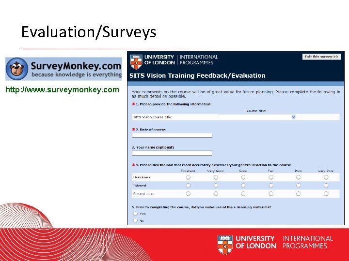 Evaluation/Surveys http: //www. surveymonkey. com Worldwide Access | Opportunity | International Standards 