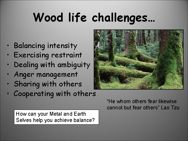 Wood life challenges… • • • Balancing intensity Exercising restraint Dealing with ambiguity Anger